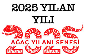 2025 Yılan Yılı